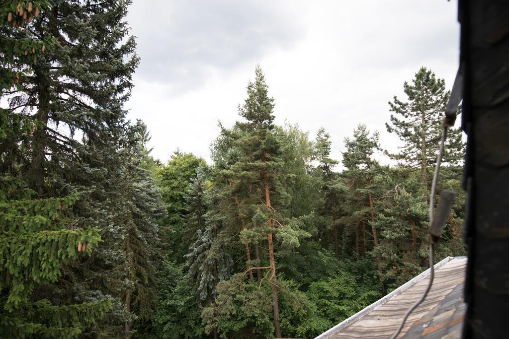 Villa Augustusberg Petrovice  Luaran gambar
